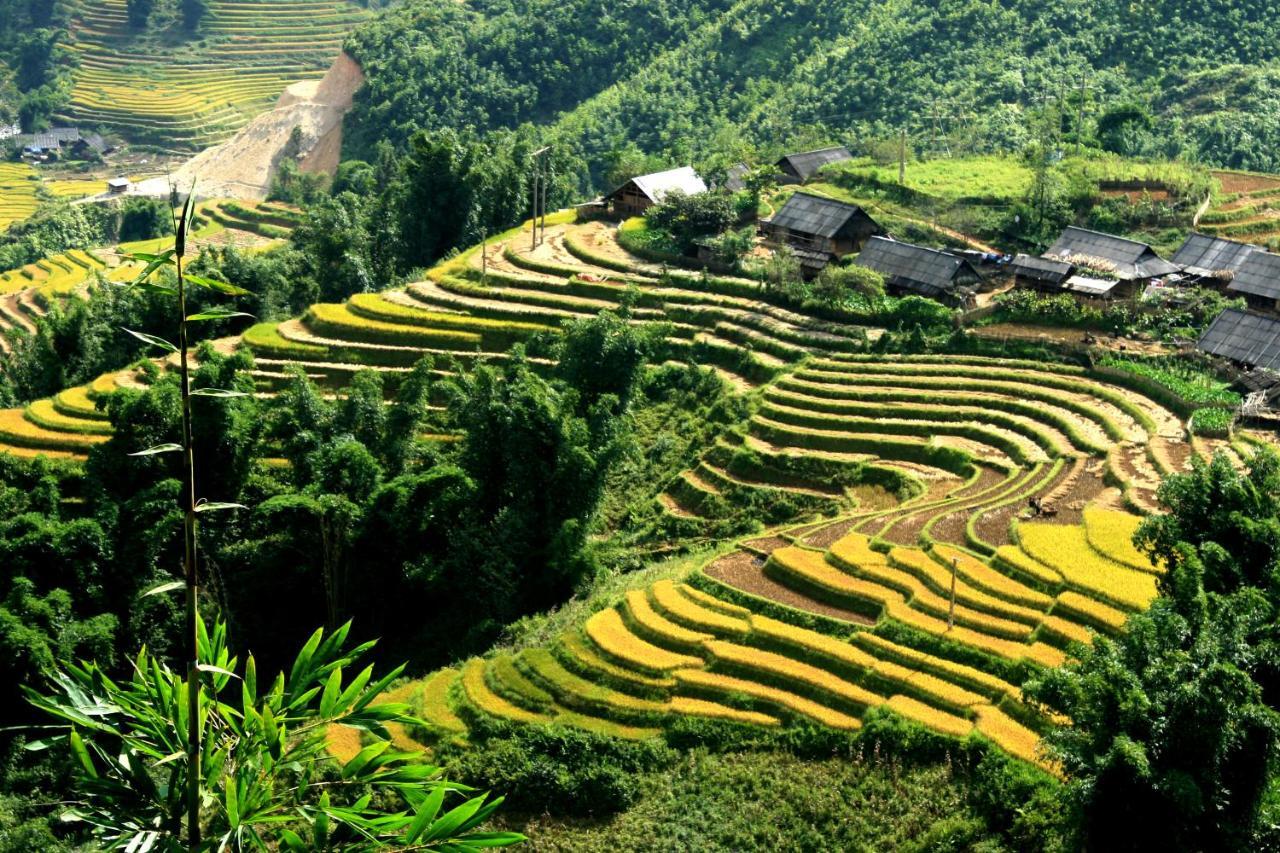 Auberge Dang Trung Hotel Sapa Exteriér fotografie